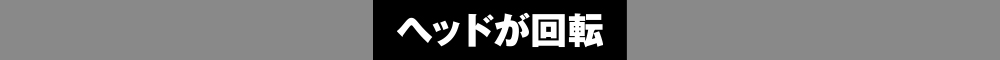 おとなしく泳ぐ時間もある